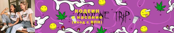 ПСИЛОЦИБИНОВЫЕ ГРИБЫ Богданович